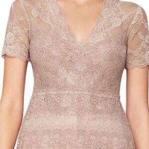 BCBGMaxAzria Blush Lace V-Neck Dress